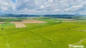 Teren de investiție în zona Tohanul Nou - Bran 5.800 mp 