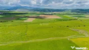 Teren de investiție în zona Tohanul Nou - Bran 5.800 mp 