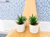 Apartament deosebit #238;n Pia#539;a Civic#259; Tulcea | 90