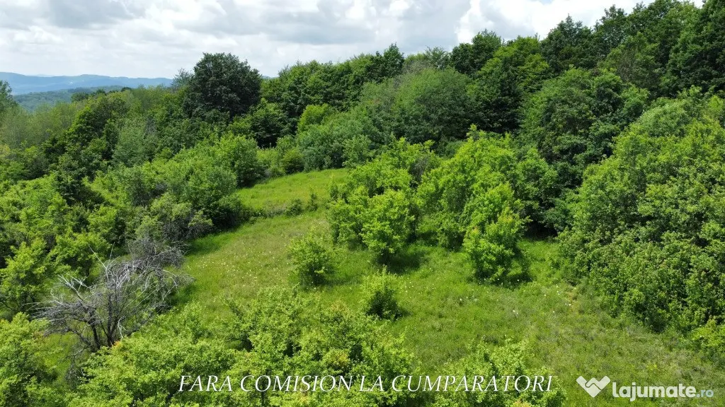 TEREN 19.822 MP, CADRU NATURAL MINUNAT