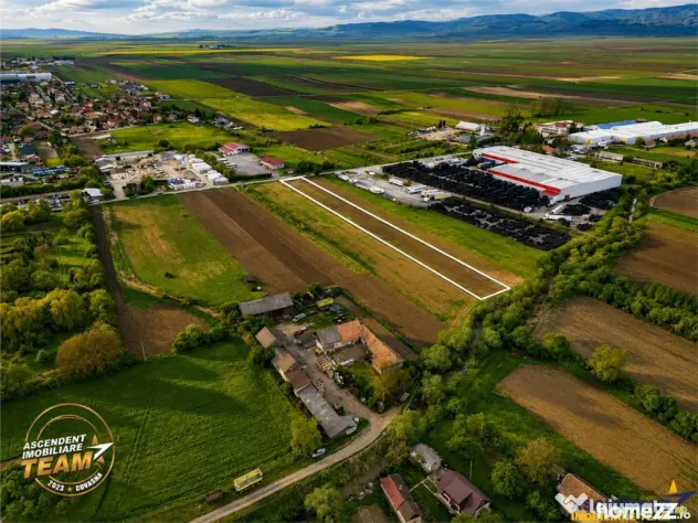 FILM! 5.000 mp teren, la marginea orasului Targu Secuiesc, a