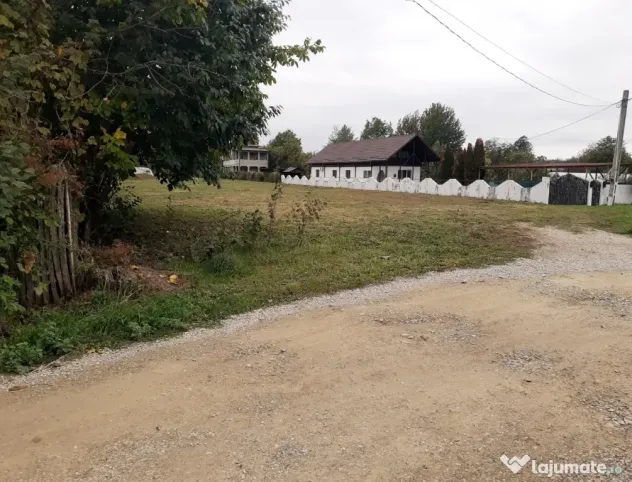 2 minute de centru Târgoviște - teren intravilan 4.784 m2 -Valea Voievozilor