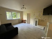 Apartament cu 2 camere- zona Malu Rosu 