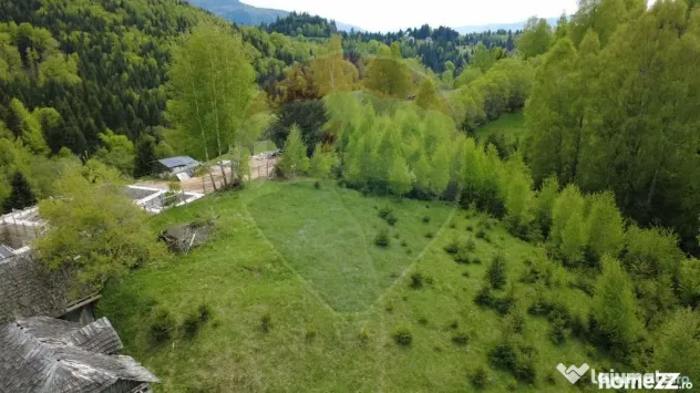 Teren 5,130mp Dambovicioara