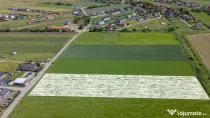 Teren 9.300 mp Stupini | Front 45.59 m la Asfalt | PUG Zo...