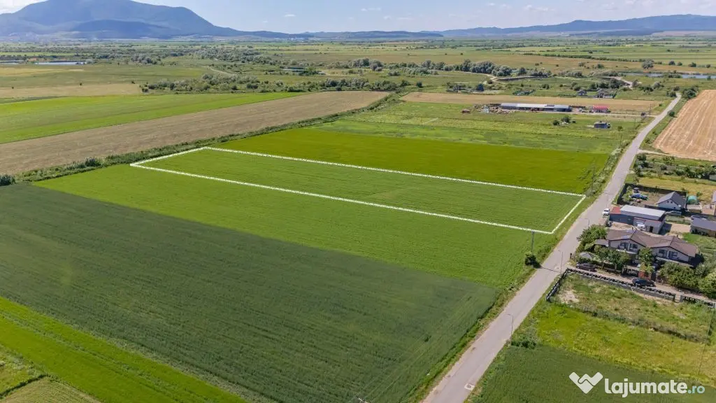 Teren 9.300 mp Stupini | Front 45.59 m la Asfalt | PUG Zo...