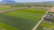 Teren 9.300 mp Stupini | Front 45.59 m la Asfalt | PUG Zo... 
