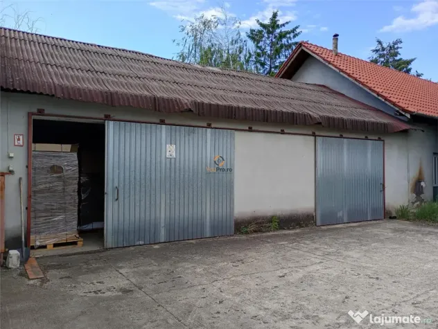 Hala industriala Casa 9650 mp teren