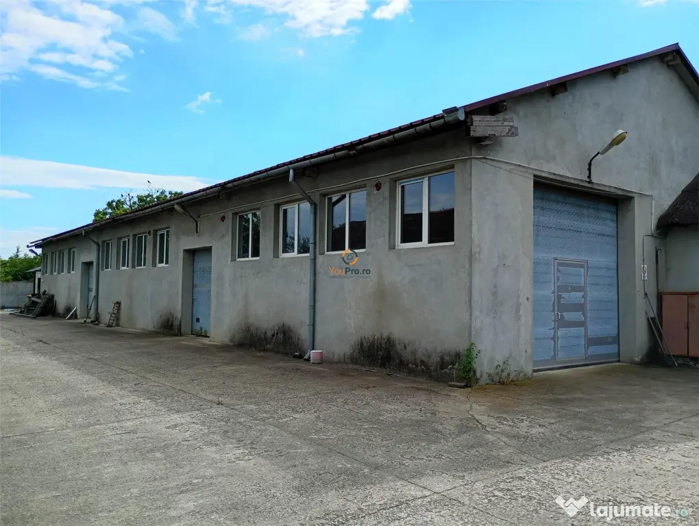 Hala industriala Casa 9650 mp teren