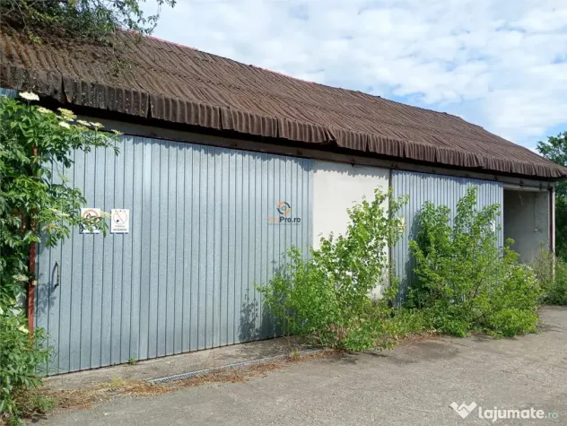 Hala industriala Casa 9650 mp teren