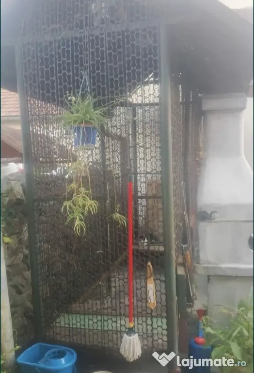 1. Vand cosar, metalic, pentru porumb.