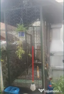 1. Vand cosar, metalic, pentru porumb.