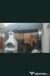 1. Vand cosar, metalic, pentru porumb. 