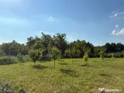 Teren intravilan, 695mp, 28m deschidere,drept, Valea Lupului 