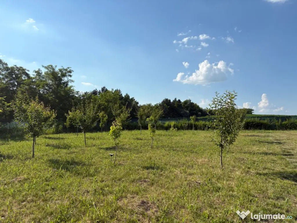 Teren intravilan, 695mp, 28m deschidere,drept, Valea Lupului