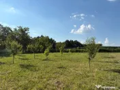 Teren intravilan, 695mp, 28m deschidere,drept, Valea Lupului 