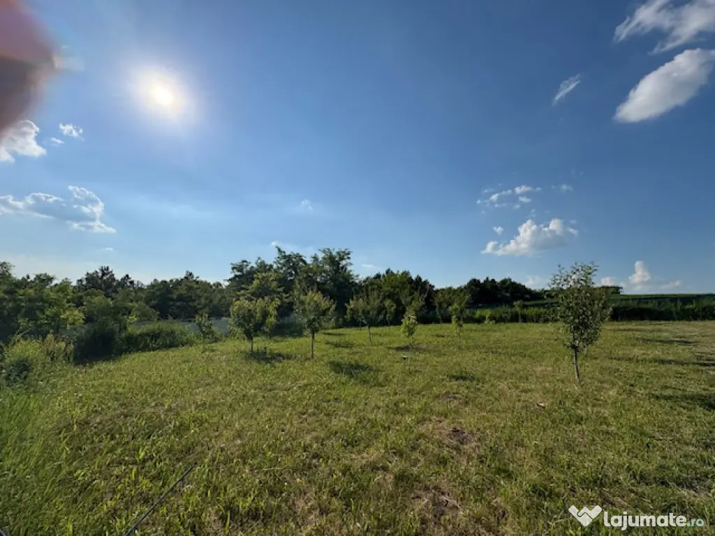 Teren intravilan, 695mp, 28m deschidere,drept, Valea Lupului