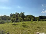Teren intravilan, 695mp, 28m deschidere,drept, Valea Lupului