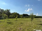 Teren intravilan, 695mp, 28m deschidere,drept, Valea Lupului