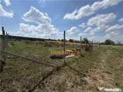 TEREN INTRAVILAN 586 MP | ZONA PALEU | BIHOR