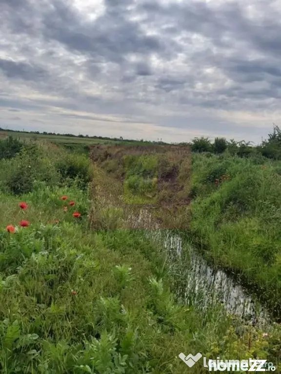 Teren Corbeanca- Drumul Garii Odai. - Corbeanca (Bucuresti-Ilfov)