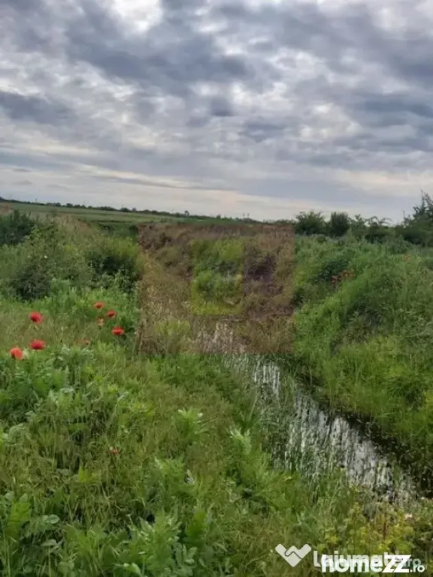 Teren Corbeanca- Drumul Garii Odai. - Corbeanca (Bucuresti-Ilfov)