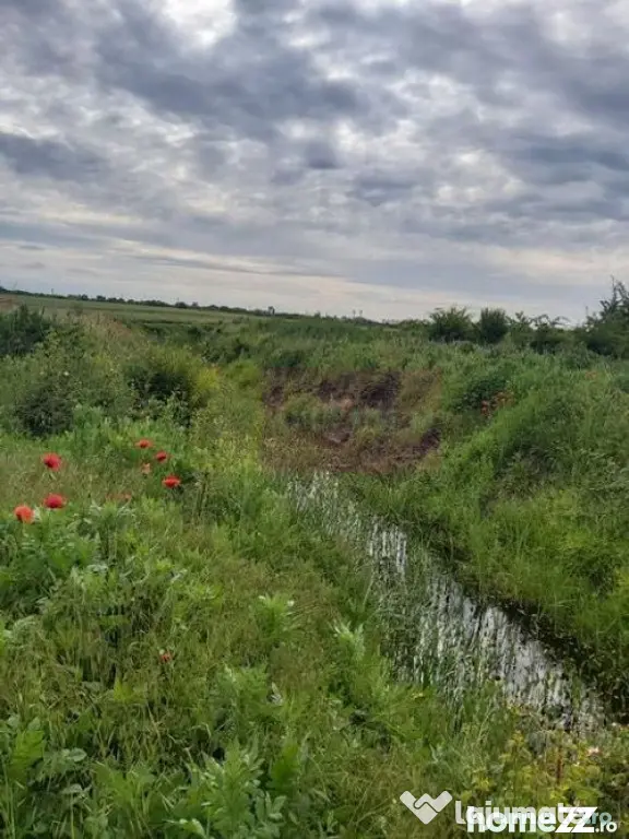 Teren Corbeanca- Drumul Garii Odai.