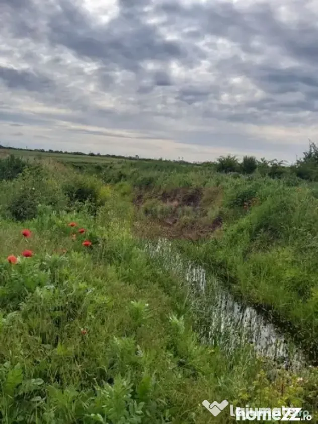 Teren Corbeanca- Drumul Garii Odai.