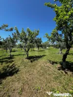 Livada in Arcalia, langa padure - 4.000 mp