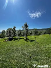 Livada in Arcalia, langa padure 
