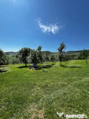 Livada in Arcalia, langa padure 