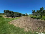 Livada in Arcalia, langa padure 