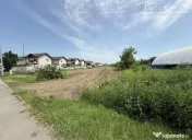 Oportunitate Investitie Teren Stradal 5500 MP l Pentru Proie 