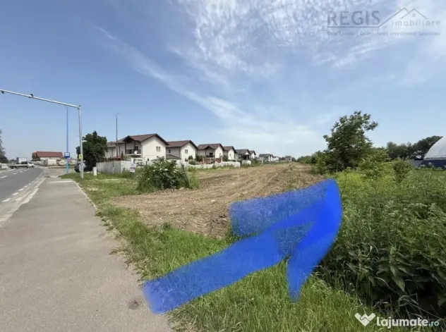 Oportunitate Investitie Teren Stradal 5500 MP l Pentru Proie