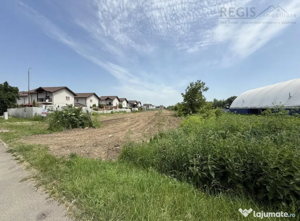Oportunitate Investitie Teren Stradal 5500 MP l Pentru Proie