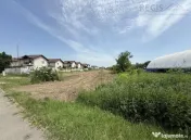 Oportunitate Investitie Teren Stradal 5500 MP l Pentru Proie 