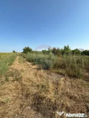 Teren Tartasesti aproape de complexul rezidențial Bună ... 