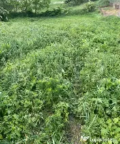 ???? Casă cu potențial deosebit și teren de 3.400 mp în 