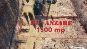 Teren 1,500mp Lepsa / Strada Manastirii 