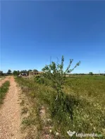 Teren intravilan, Mosnita Noua, 610 mp. Utilitati in apropi