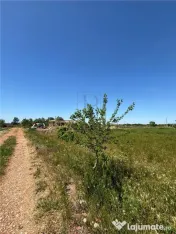 Teren intravilan, Mosnita Noua, 610 mp. Utilitati in apropi 