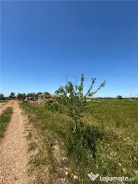 Teren intravilan, Mosnita Noua, 610 mp. Utilitati in apropi 