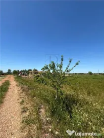 Teren intravilan, Mosnita Noua, 610 mp. Utilitati in apropi