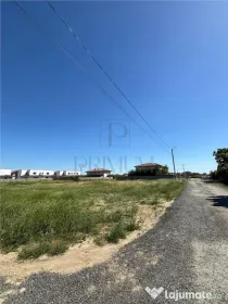 Teren intravilan- MOSNITA NOUA- 2 FRONTURI STRADALE-TOATE UT
