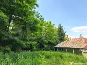 Casă bătrânească cu bucătărie de vară și teren 3.000 