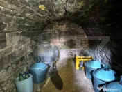 Casă bătrânească cu bucătărie de vară și teren 3.000 