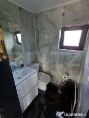 Teren intravilan 60 ari cu iaz si cabana, Ilisesti 
