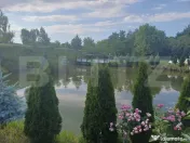Teren intravilan 60 ari cu iaz si cabana, Ilisesti 
