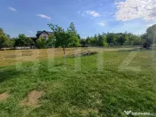 Teren intravilan 60 ari cu iaz si cabana, Ilisesti 