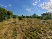 Teren intravilan 60 ari cu iaz si cabana, Ilisesti 